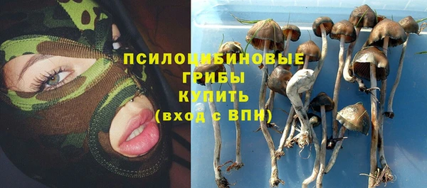 эйфоретик Алзамай