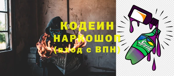 кокс Алексин