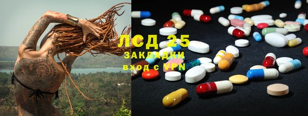 эйфоретик Алзамай