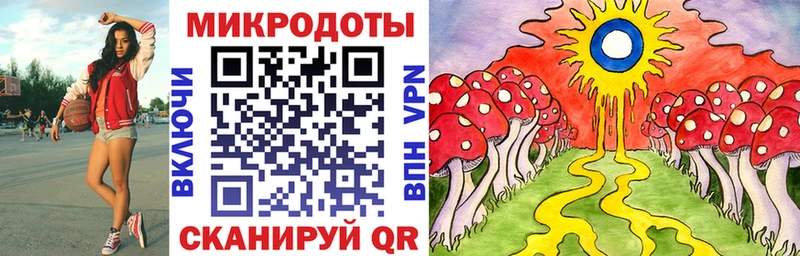 Галлюциногенные грибы Magic Shrooms  Междуреченск 