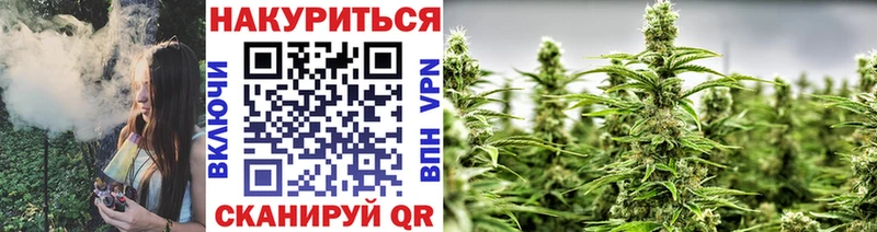Конопля Amnesia  Междуреченск 